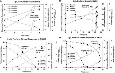 Transcriptomic Profiles of Zymomonas mobilis 8b to Furfural Acute and Long-Term Stress in Both Glucose and Xylose Conditions